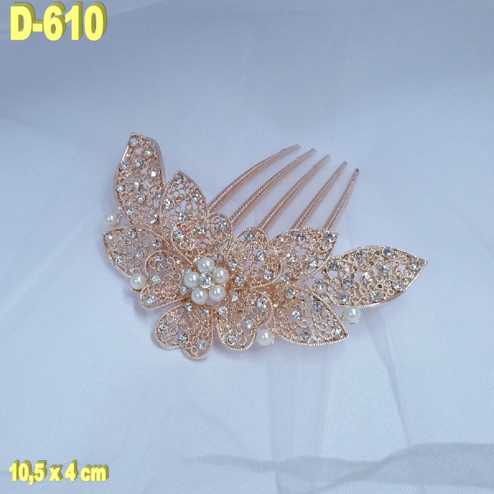 D-610 (3)